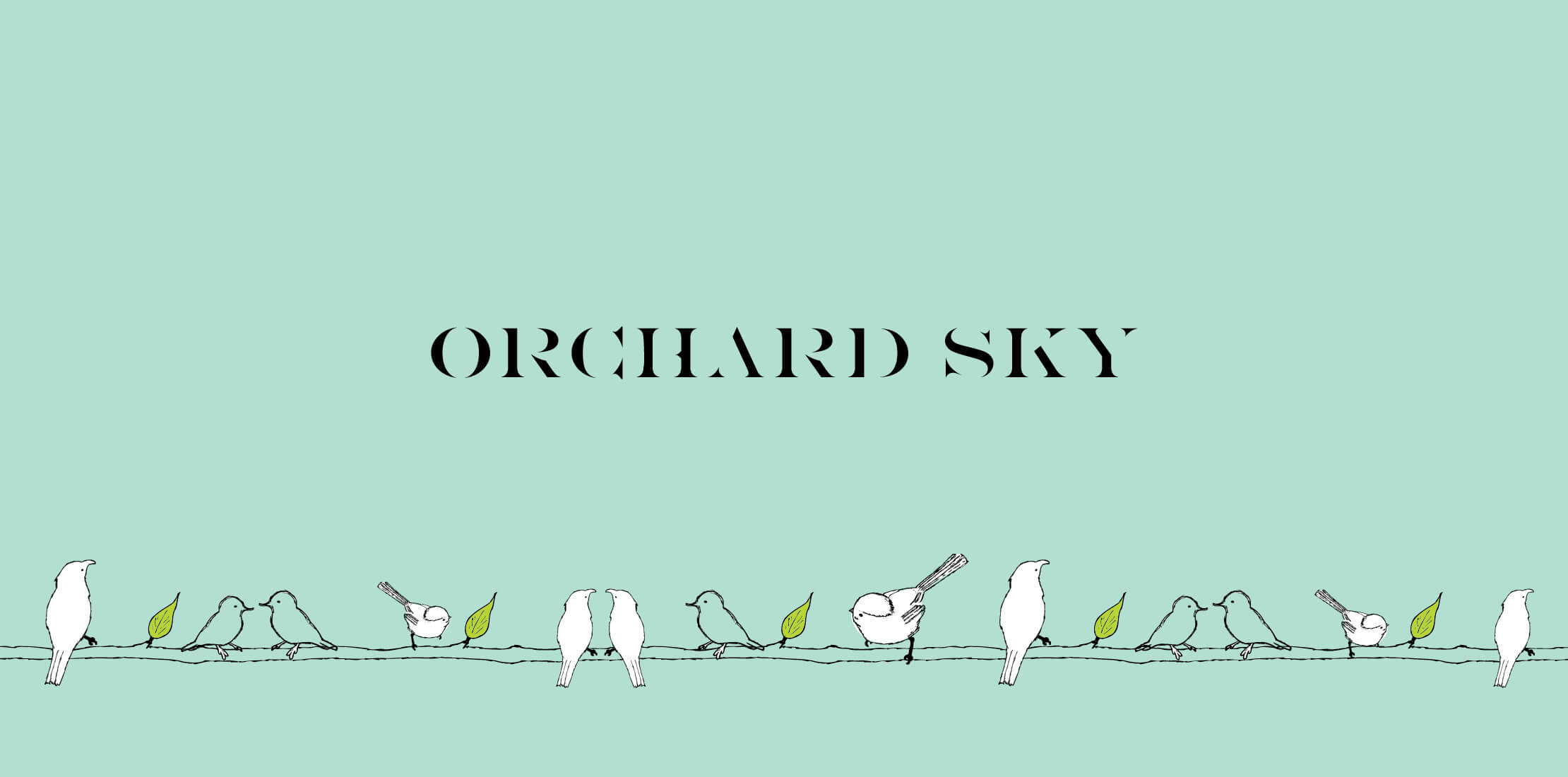 'Orchard Sky' logo in black capital letters and a hand drawn illustration of birds perched on a branch, on a mint background