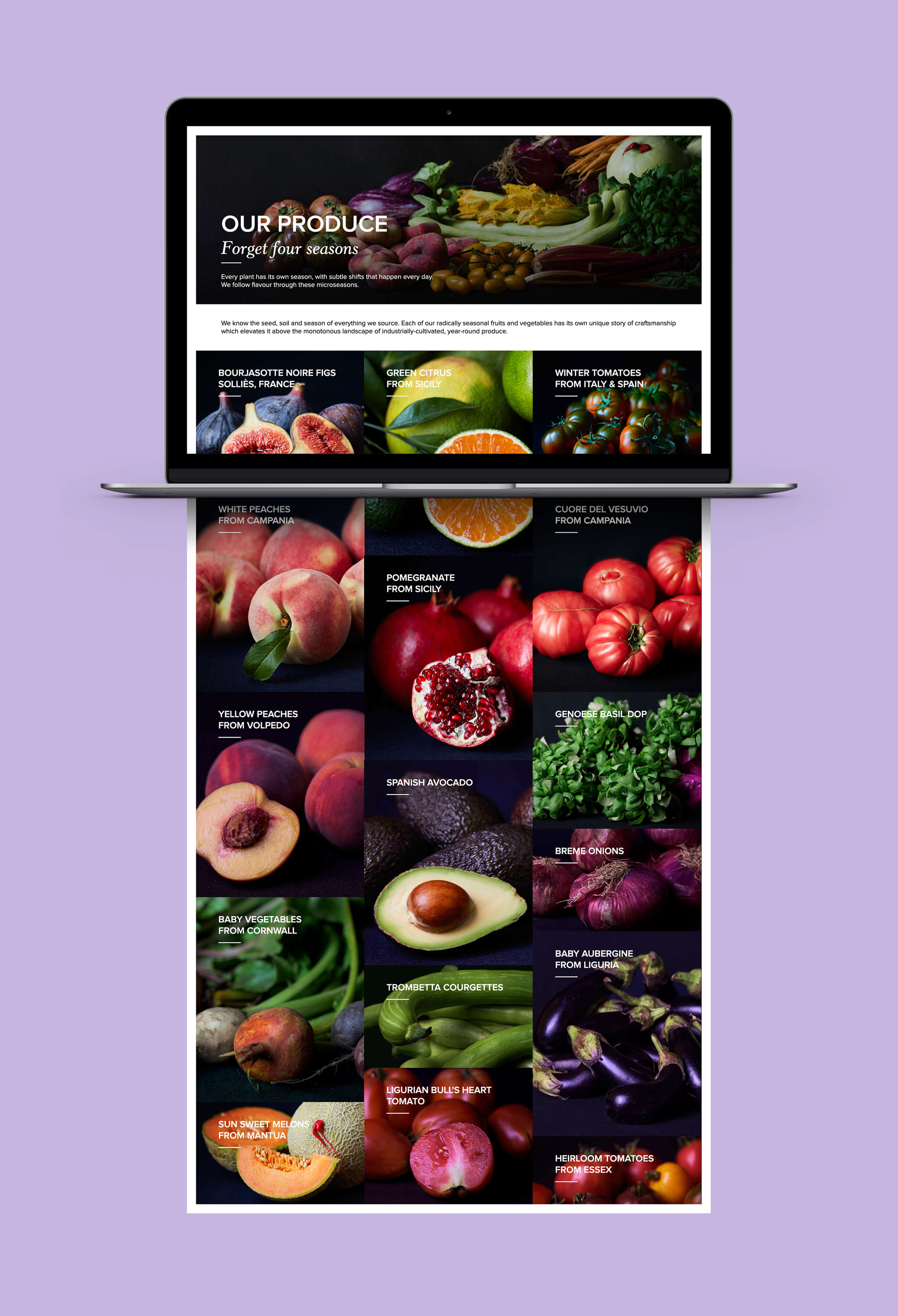 Full 'produce' web page mockup of the Natoora website on a 3D render of an Apple MacBook computer, on a pastel purple background