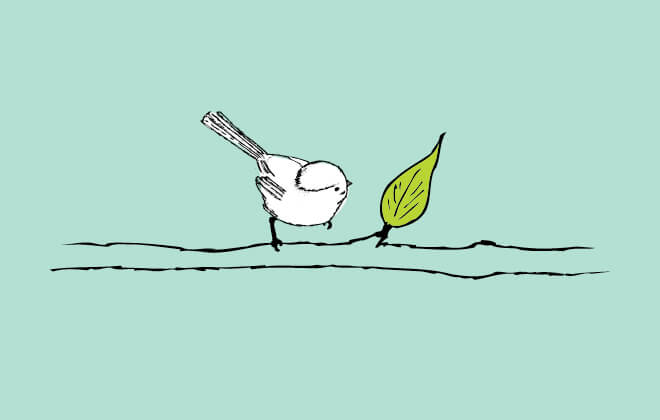 Hand drawn illustration of a bird perched on a branch, staring inquisitively at a green leaf, on a mint background
